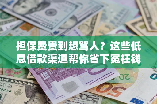 北京担保费贵到想骂人？这些低息借款渠道帮你省下冤枉钱