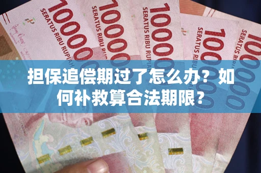 北京担保追偿期过了怎么办？如何补救算合法期限？
