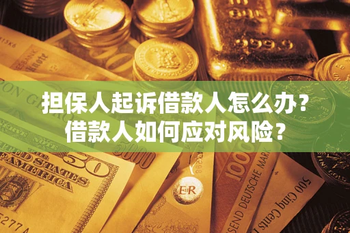 北京担保人起诉借款人怎么办？借款人如何应对风险？