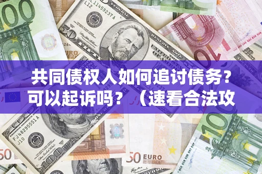 北京共同债权人如何追讨债务？可以起诉吗？（速看合法攻略）