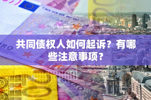 北京共同债权人如何起诉？有哪些注意事项？